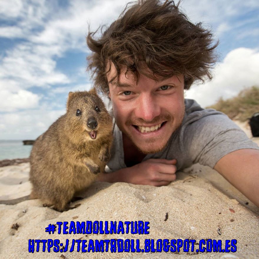 <a href="/vianagains/">☮ PEACE & LOVE ☮ #TeamDollNature</a> <a href="/perolanegrant/">🌪🎀💖𝖁𝖎𝖚𝖛𝖆 𝕹𝖊𝖌𝖗𝖆🎀💄 #VGSDV❤️🖤ᶜʳᶠ</a> <a href="/anie1215/">💕 anie 💕 my son is my life 💕</a> <a href="/Scant_17/">$cant #MGWV</a> <a href="/trinivianaok/">TRINI 》》》☆Peace ☮ Love☆Founder #TeamDollNature</a> <a href="/Kamar_Leilak/">I love My Sister Cata Forever ❤ #TeamDollNature ❤</a> <a href="/Fer_TeamUnidoS/">TΞ🅰️〽️UЛłÐ🎱S</a> <a href="/PetrusBun/">Tan Bun Seng</a> @iusmota <a href="/Tmlily_/">°✿° Lily °✿°•</a> @maddykins133 ☰✴#TeamDollNature ☰ #Tmlily ☰#TeamDoll ☰
📍🇫.🇴.🇱🇱🇴🇼📍

💜.<a href="/vianagains/">☮ PEACE & LOVE ☮ #TeamDollNature</a>
🦩<a href="/perolanegrant/">🌪🎀💖𝖁𝖎𝖚𝖛𝖆 𝕹𝖊𝖌𝖗𝖆🎀💄 #VGSDV❤️🖤ᶜʳᶠ</a> 
💜<a href="/anie1215/">💕 anie 💕 my son is my life 💕</a>
🦩<a href="/Scant_17/">$cant #MGWV</a> 
💜@Trinivianaok 
🦩<a href="/Kamar_Leilak/">I love My Sister Cata Forever ❤ #TeamDollNature ❤</a>
💜@Fer_Teamunidos 
🦩<a href="/DCordell2016/">🐺Wolfx#MuzikkZøne🎶 #𝘛eam𝘋øll𝘕ATURE CoFounder</a> 
💜<a href="/PetrusBun/">Tan Bun Seng</a> 
🦩 <a href="/Rosana_Fava/">rosanafava 60K🌸</a>
💜@iusmota
🦩<a href="/Tmlily_/">°✿° Lily °✿°•</a>
💜@maddykins133