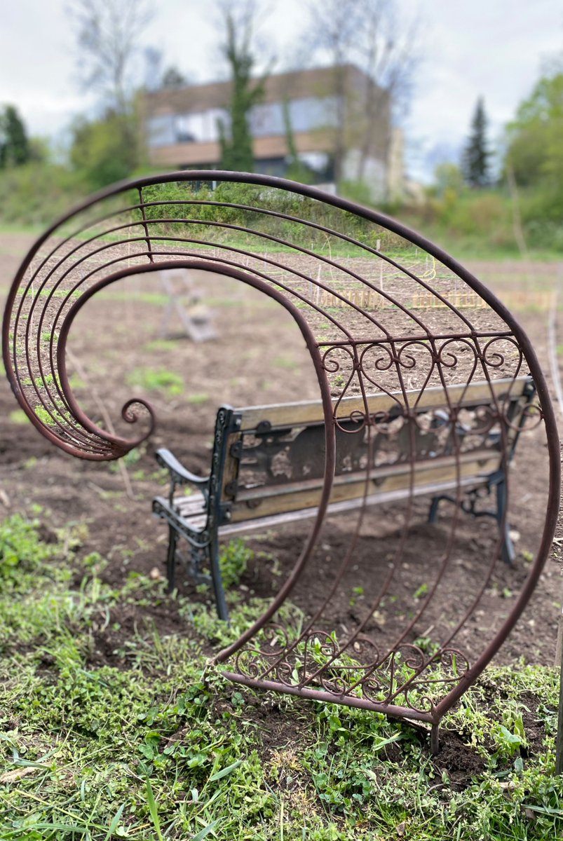 Es hätt nicht besser laufen können. 
Saisons 8 #hietzinghills, 
bestes #wienerbiogemüse aus eigenem Anbau. Ich lieb's einfach nur, und freu mich, dass meine Mit-Esser dankbar dafür sind. 🙏👩‍🌾