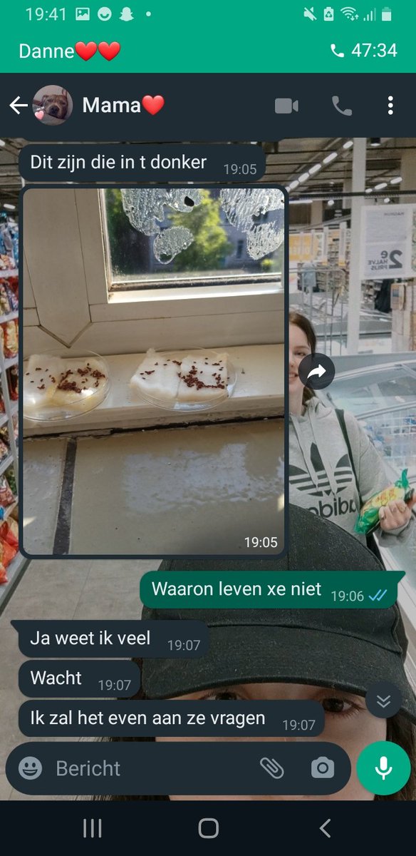 bloebtomatesoep's tweet photo. Mama moest even voor mn plantjes zorgen
Ze heeft wel goede humor https://t.co/pxLSLnryew