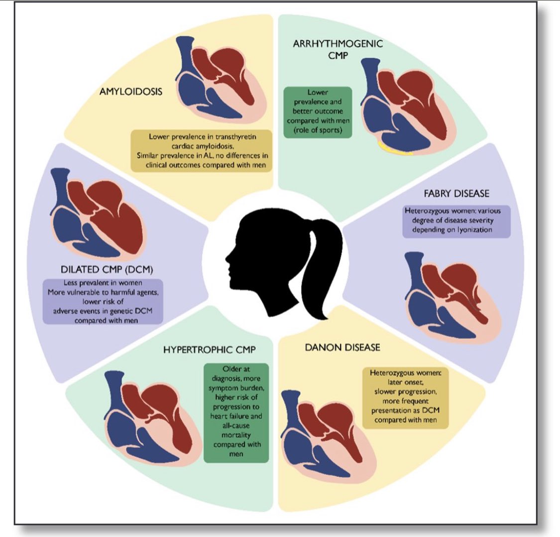 🫀🧬State‐of‐the‐art appraisal of the influence of sex on cardiomyopathies  
👉🏼Sex‐Related Differences in Genetic Cardiomyopathies ahajournals.org/doi/10.1161/JA…