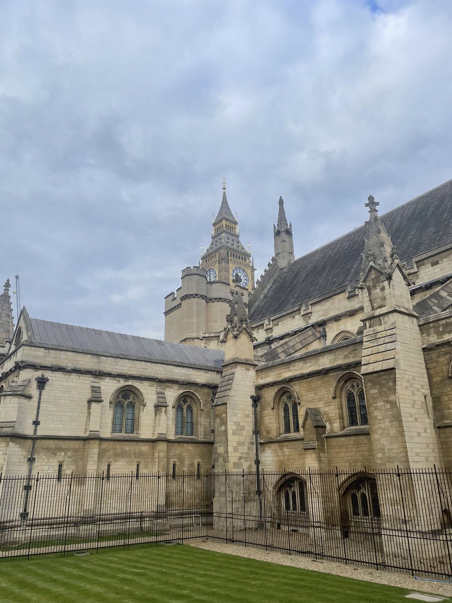 Ryan Fox tweet media