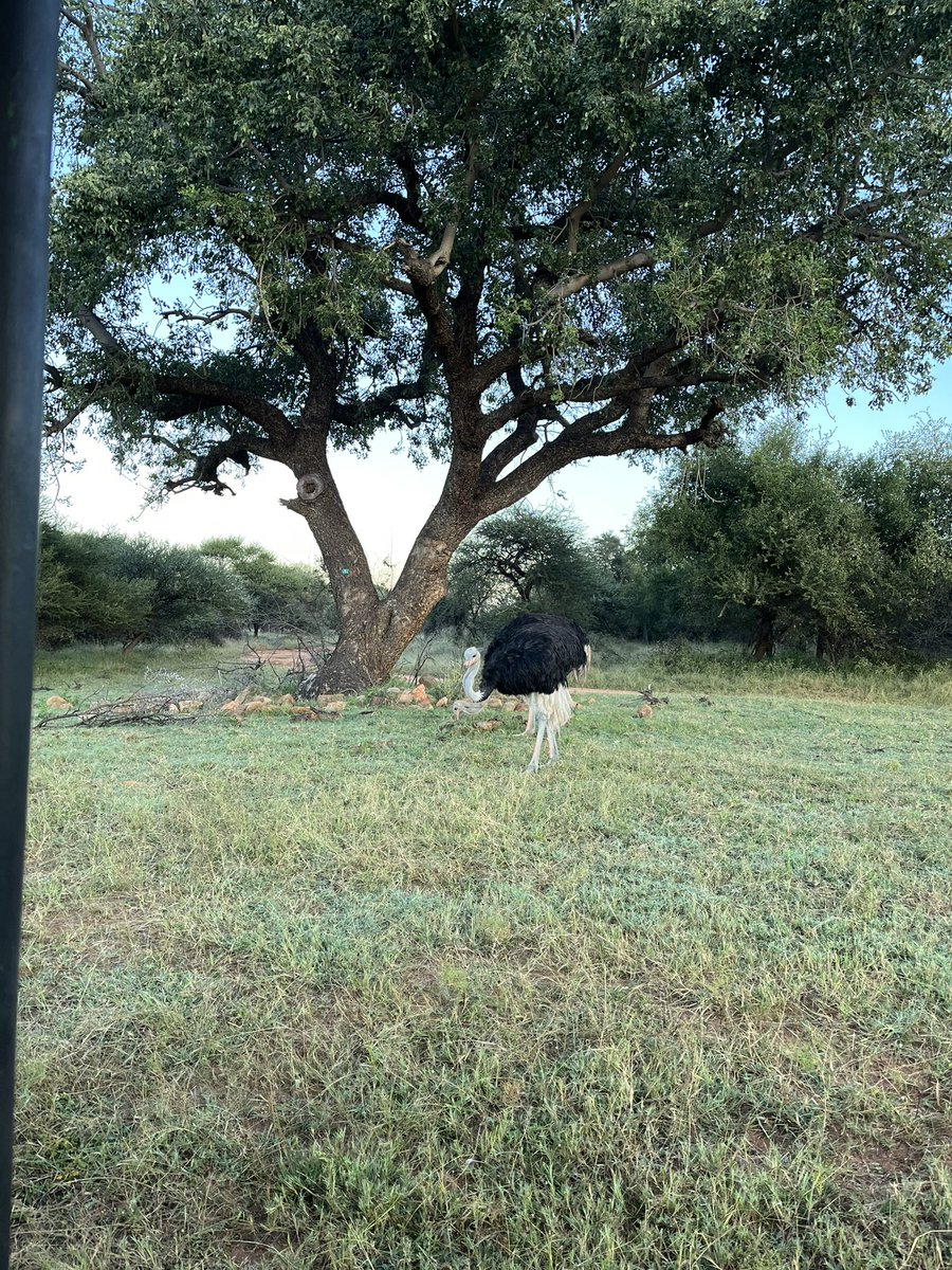 ChiefGinjaNinja's tweet photo. #familymoon #naturereserve https://t.co/8Sq6PGhWxm