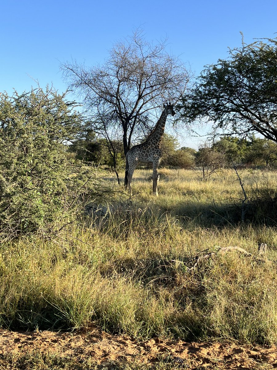 ChiefGinjaNinja's tweet photo. #familymoon #naturereserve https://t.co/8Sq6PGhWxm