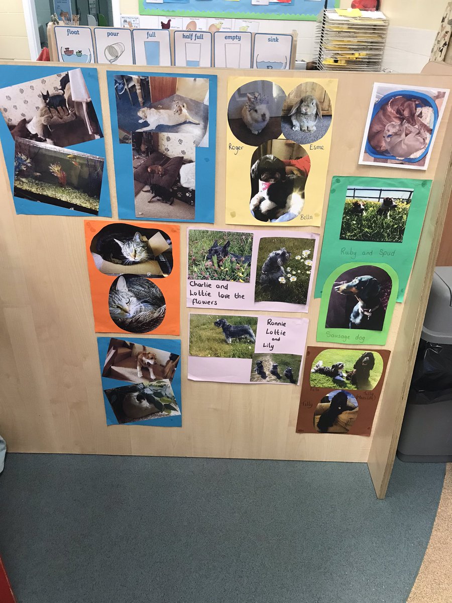 EYFS_Voyage's tweet photo. Open ended opportunities for the children in nursery to explore animals in a range of contexts @carlton_road https://t.co/IQw8xHETeX