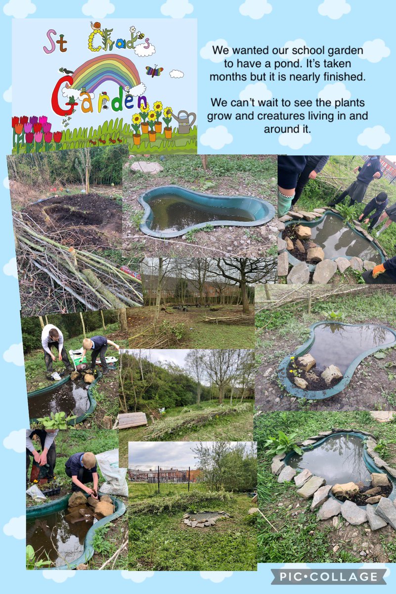 StChadsRC's tweet photo. We have started to think about biodiversity and encouraging wildlife to live in our garden. Work started in February to install a pond, we had to wait for it to fill with rain water before we could put plants in. How amazing does it look? @EcoSchools @ash_farrah #biodiversity https://t.co/peDpK0uBup