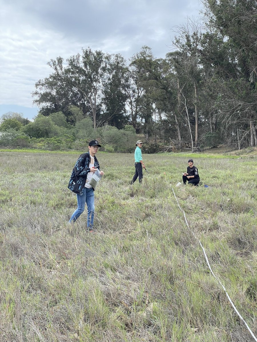 envirogeography's tweet photo. Plenty of pickleweed and soil to sample as part of @NASAJPLโs #SHIFTforScience campaign. We have almost 100 plant and soil samples from over the length of the campaign and there is plenty more to come!
Fortunate to be collaborating with so many folks!! https://t.co/JXkZtBX5z9