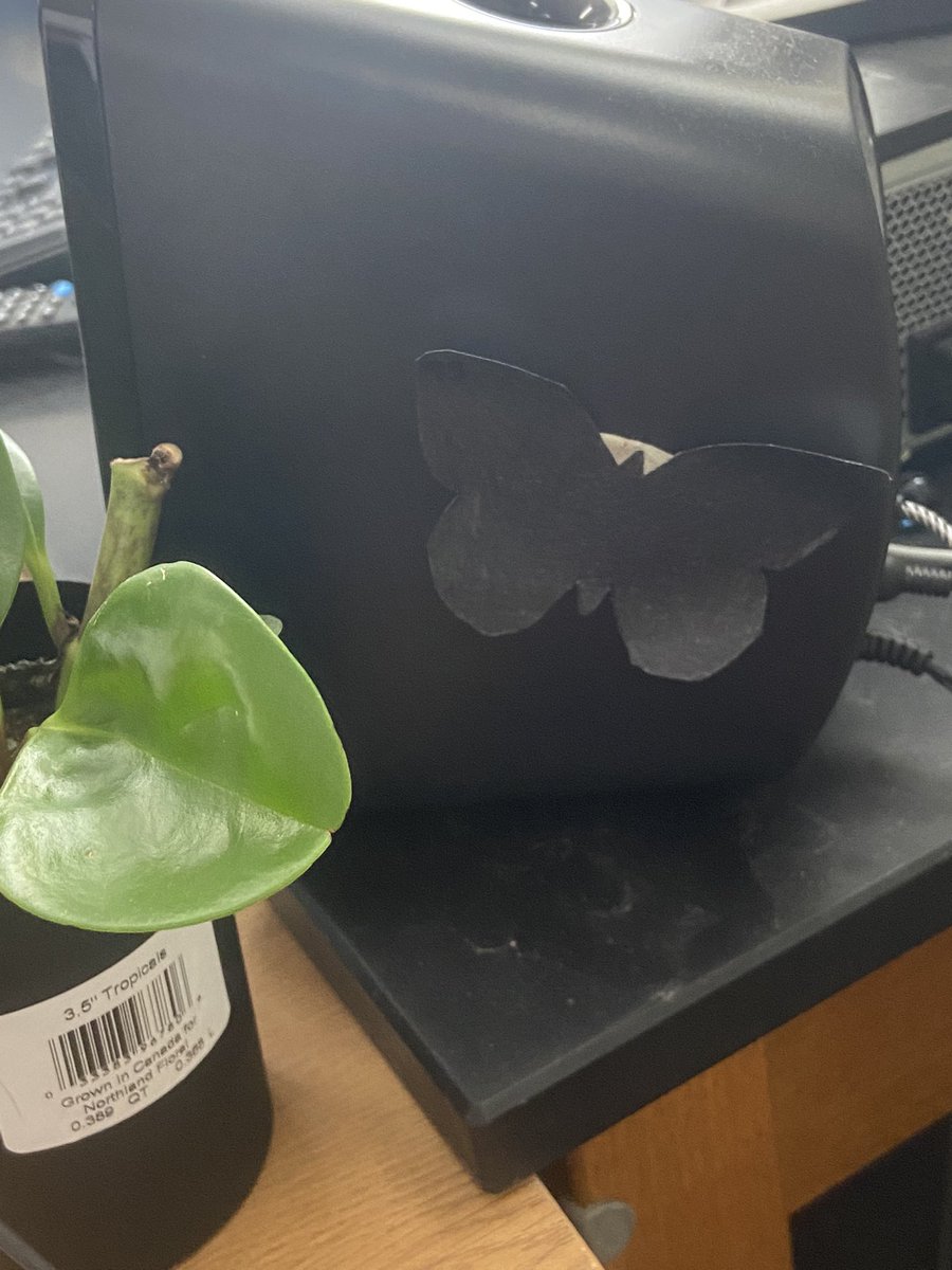 MrsNicholes18's tweet photo. Moth Scavenger Hunt….which will camouflage and survive? #Darwin #adaptations #variations #naturalselection @CMSBOBCAT @Cambridge_CS https://t.co/G0rCdx4Iy5