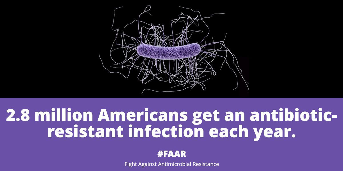 #AntimicrobialResistance is a growing global health crisis. Together we can make a difference: bit.ly/3E4c2kF #FAAR