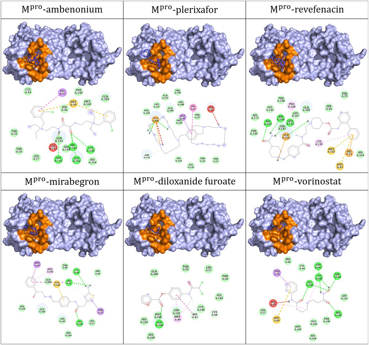 sabrina_as's tweet photo. The paper of Isabela Gomes, a master student in our lab, has been published in @PLOSONE https://t.co/QF8z8hCXHN
#COVID19 #Bioinformatics #ComputationalBiology https://t.co/MHmO3xz6wE