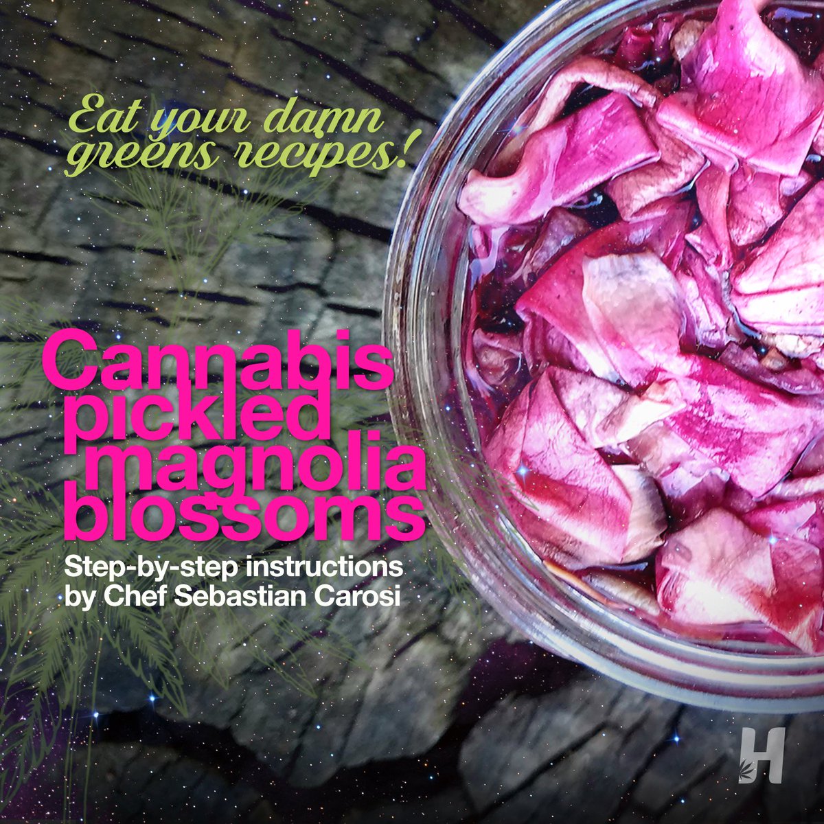 Finding springtime inspiration in the glorious abundance of a beautiful magnolia tree, Chef Sebastian Carosi’s recipe for #Cannabis Pickled Magnolia Blossoms makes for a distinctive condiment with a piquant spiciness and intense floral nose. Yum!
headslifestyle.com/blogs/chef-seb…