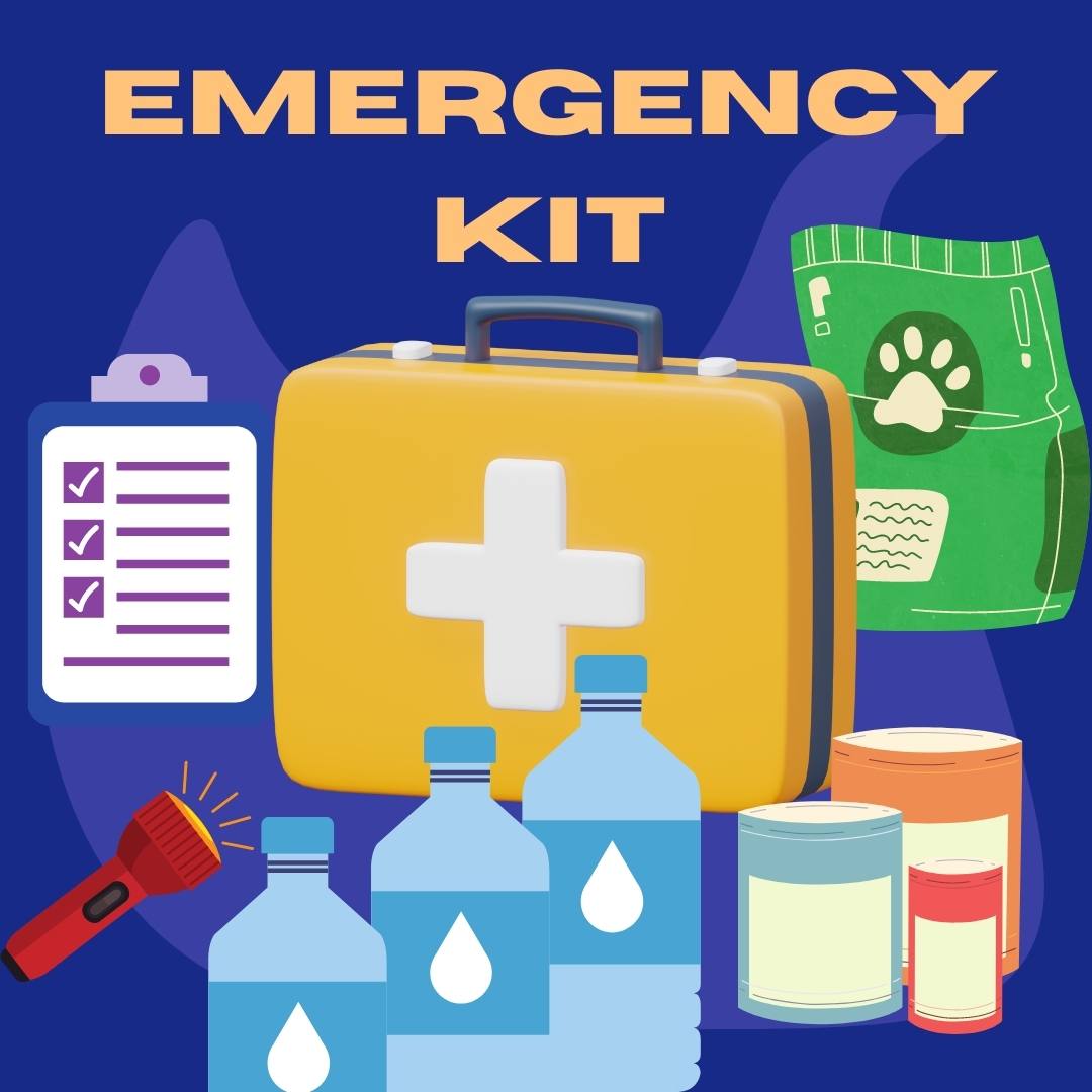 Twp. of Oro-Medonte on X: 🚨Emergency Preparedness Week May 1-7,  Oro-Medonte Fire & Emergency Services encourages you to Be Ready For  Anything ,complete three steps. ✌️Step 2: Build An Emergency Kit A