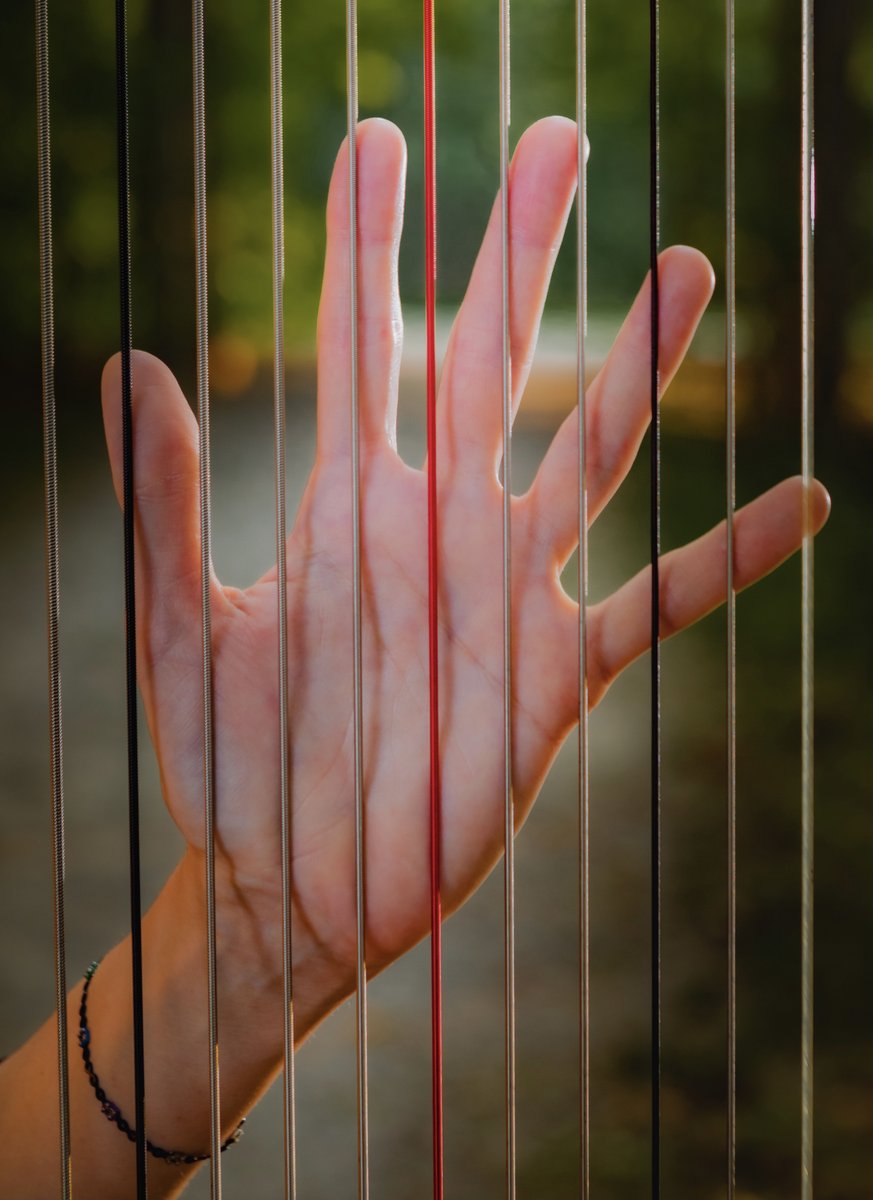 I have not shouted this from the rooftops, but I slipped on the ice in February and did a pretty good job of injuring my left wrist. After a few nervous weeks and a number of canceled concerts, I will live to play another day. Climbing back in the saddle and feeling grateful ❤️