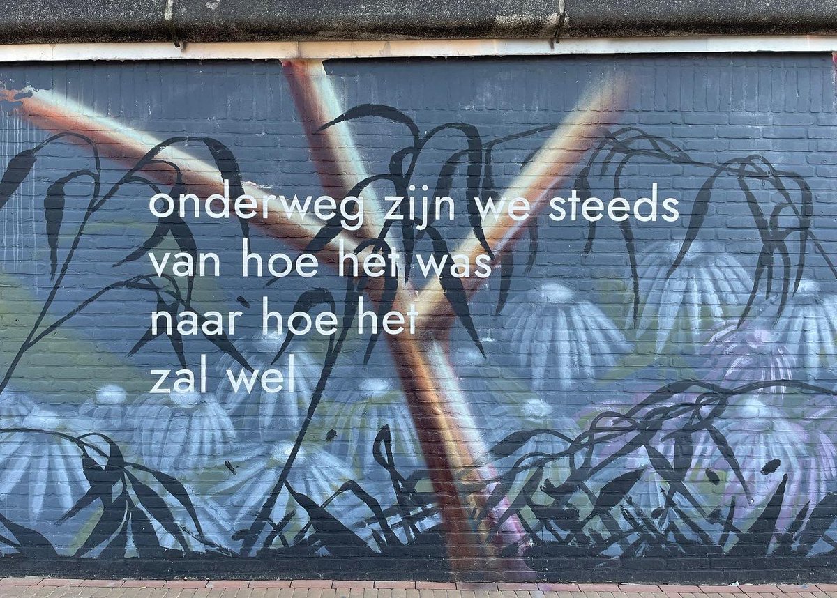 MerelMorre's tweet photo. De mural met werk van #collinvandersluijs en mij is af. Af! 

Een heel leuke samenwerking en hopelijk een aanwinst voor #Helmond https://t.co/xfRNJeNl6l