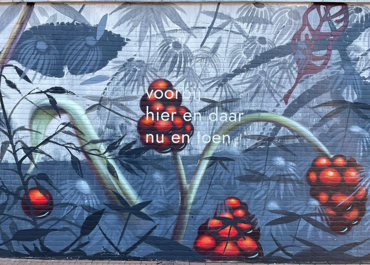 MerelMorre's tweet photo. De mural met werk van #collinvandersluijs en mij is af. Af! 

Een heel leuke samenwerking en hopelijk een aanwinst voor #Helmond https://t.co/xfRNJeNl6l