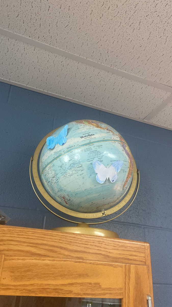MrsNicholes18's tweet photo. Moth Scavenger Hunt….which will camouflage and survive? #Darwin #adaptations #variations #naturalselection @CMSBOBCAT @Cambridge_CS https://t.co/9sKXUZrAaq