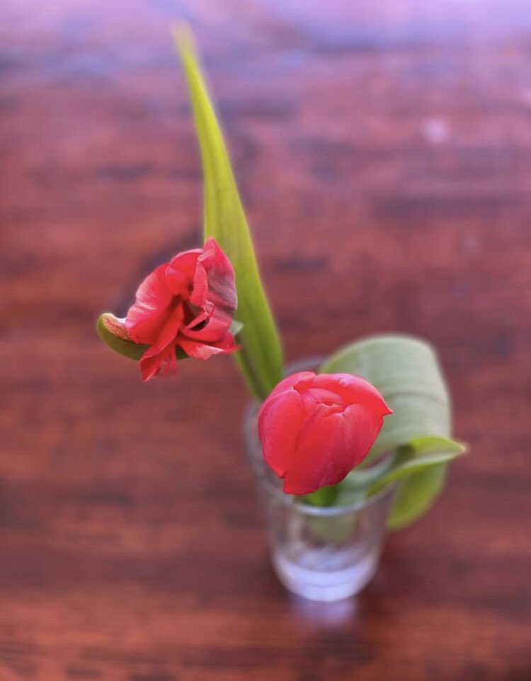 RedLilyFlower