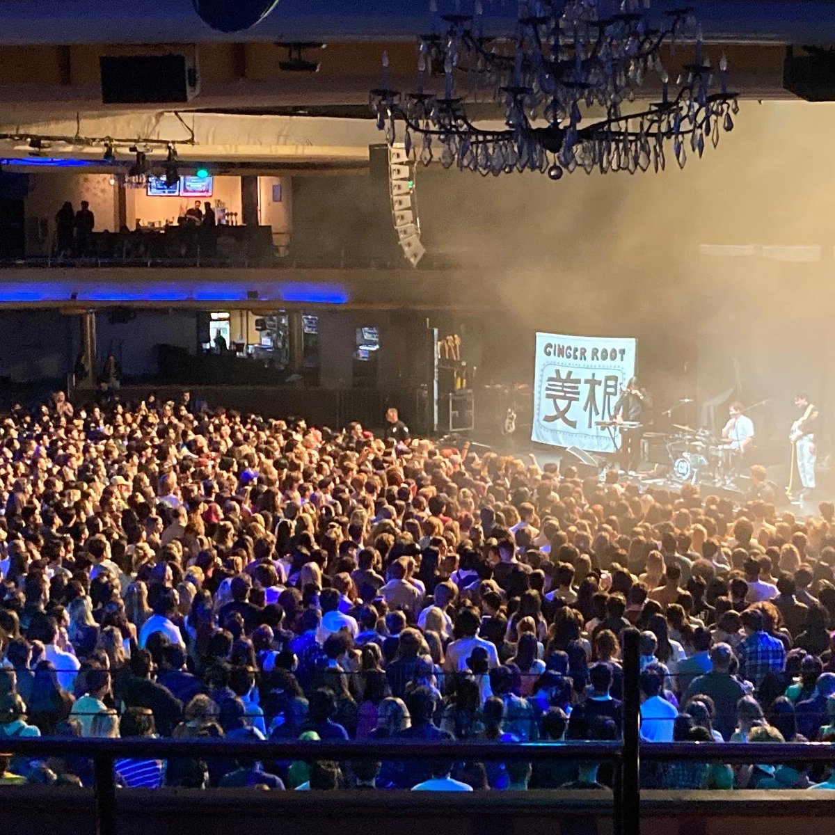 Ginger Root tweet media