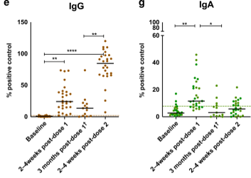 MucosalImmunol's tweet photo. Breakthrough #COVID19 infections was associated with reduced IgA, despite similar IgG levels in vaccinated individuals. @JenGommerman and colleagues evaluate #Covidvaccines induced #ImmunoglobulinA responses:https://t.co/D8yeAcoM7M #BriefCommunications https://t.co/OkX99iBzSQ
