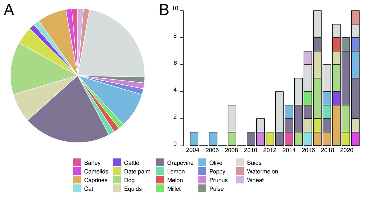 PCI_Archaeology's tweet image. 1/3 New #preprint peer-reviewed and recommended by @PCI_Archaeology : Evin, A., Bouby, L., @vincentbonhomme, Jeanty, A., Jeanjean, M. and Terral, J.-F. (2022) Archaeophenomics of ancient domestic plants and animals using geometric morphometrics: a review. doi.org/10.31219/osf.i…