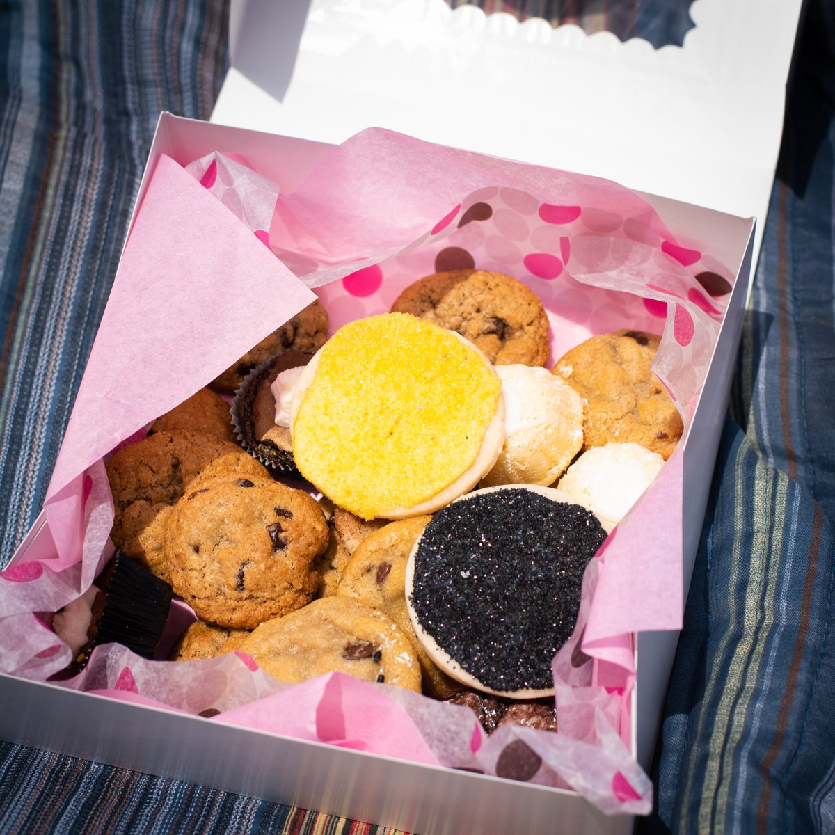 DressforSuccessPgh tweet media