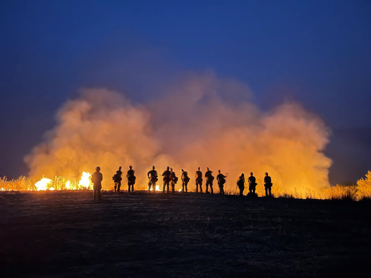 IdahoLands's tweet photo. Introducing Teakean. Idaho Department of Lands 20-person handcrew.
There is room on the team. Details to come.
#IDLFire https://t.co/RJznscYBHb