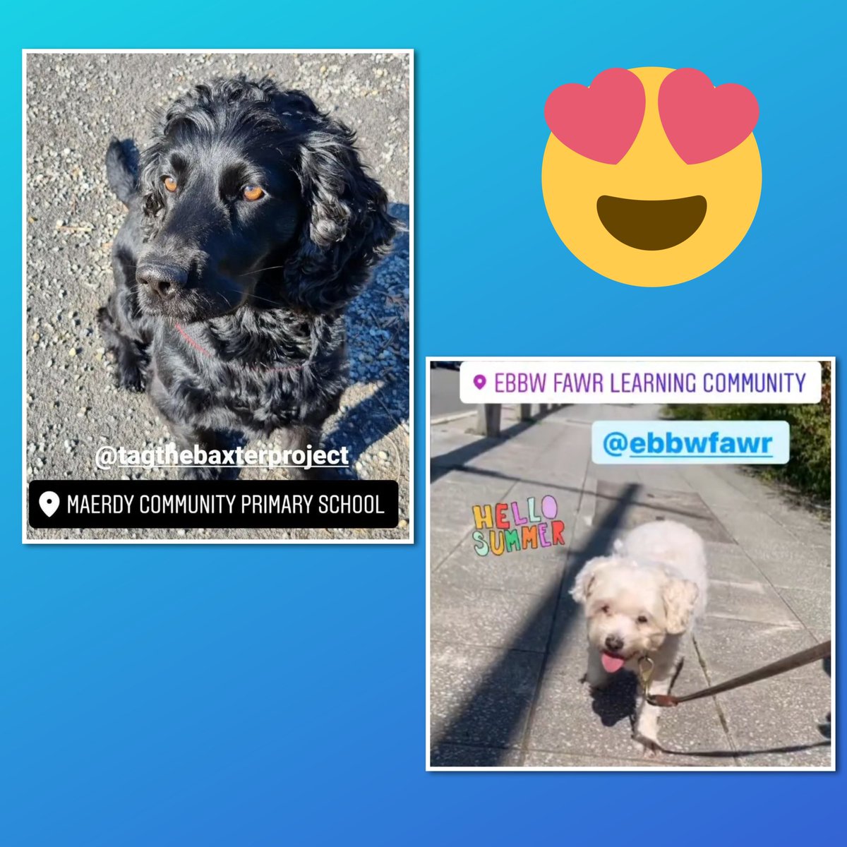 The Baxter Project tweet media