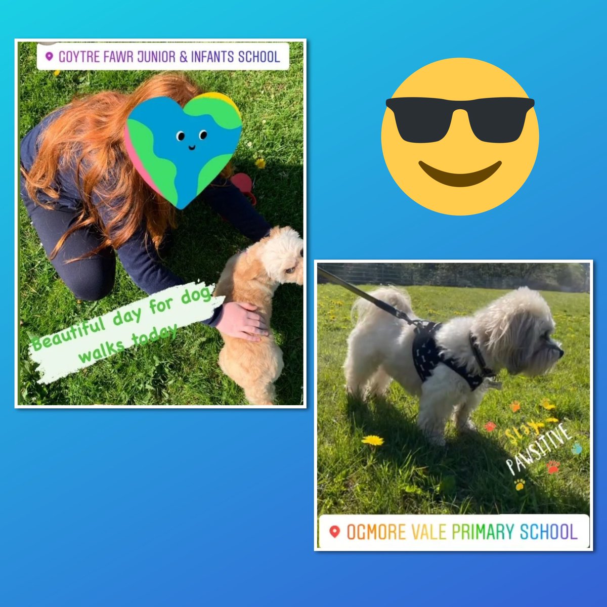 The Baxter Project tweet media