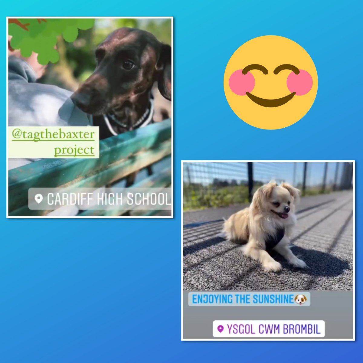 The Baxter Project tweet media