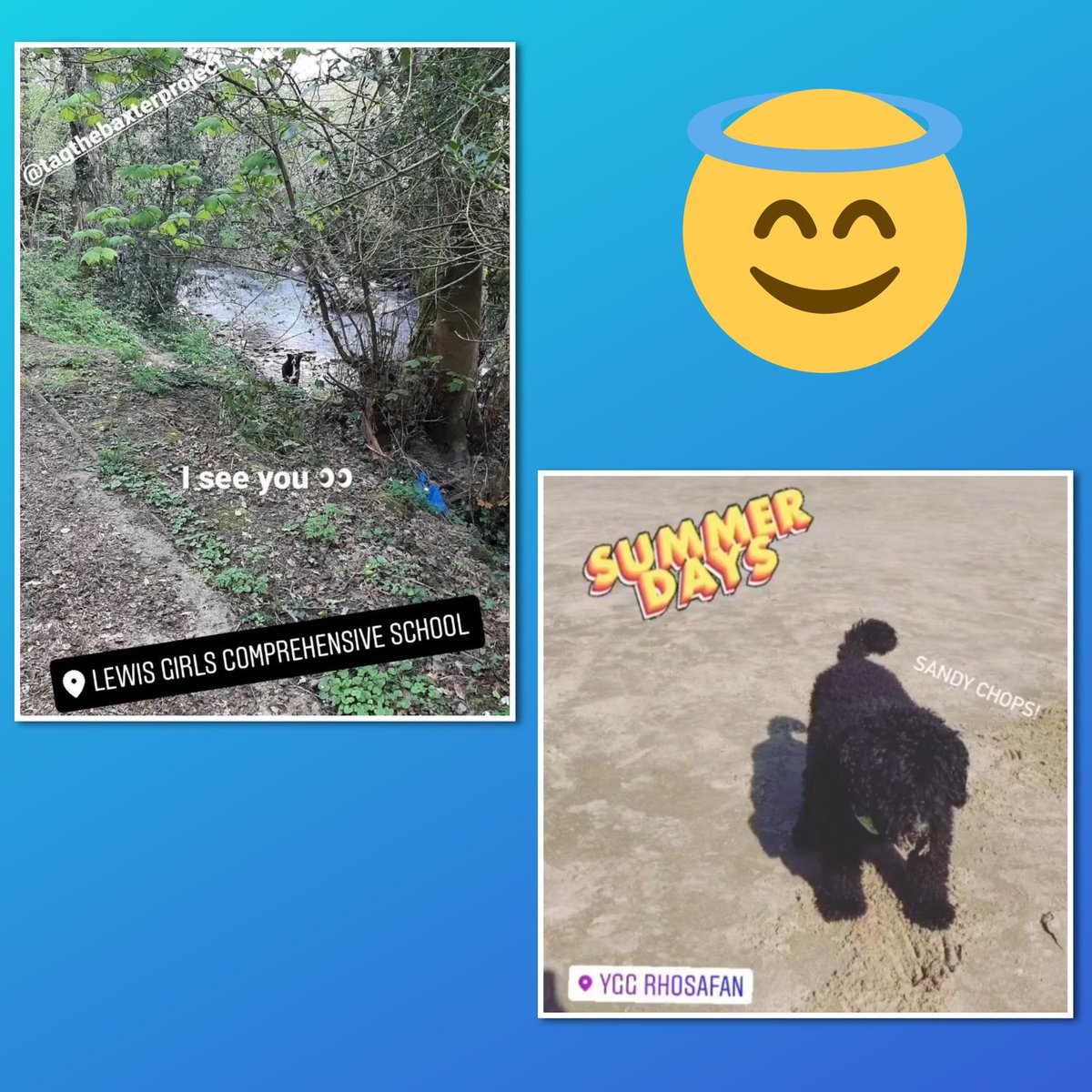 Another sun shining day supporting pupils 😎
<a href="/officialCHS/">CHS</a>
<a href="/ebbwfawr/">Ebbw Fawr 3-16</a> 
@GlanUskPS
<a href="/lewisgirlssch/">Lewis Girls' School</a>
<a href="/MCPSchool/">Maerdy Primary</a>
<a href="/OgmoreP/">Ogmore Vale Primary</a>
<a href="/YGGRhosafan/">YGG Rhosafan</a> 
@GoytreFawr
<a href="/YsgolCwmBrombil/">Ysgol Cwm Brombil</a>
We love the summer term 😊
#TrACEInformed #WellbeingMatters #PositiveChange #BreakTheMould <a href="/tagroupcic/">Therapeutic Activities Group CIC</a>