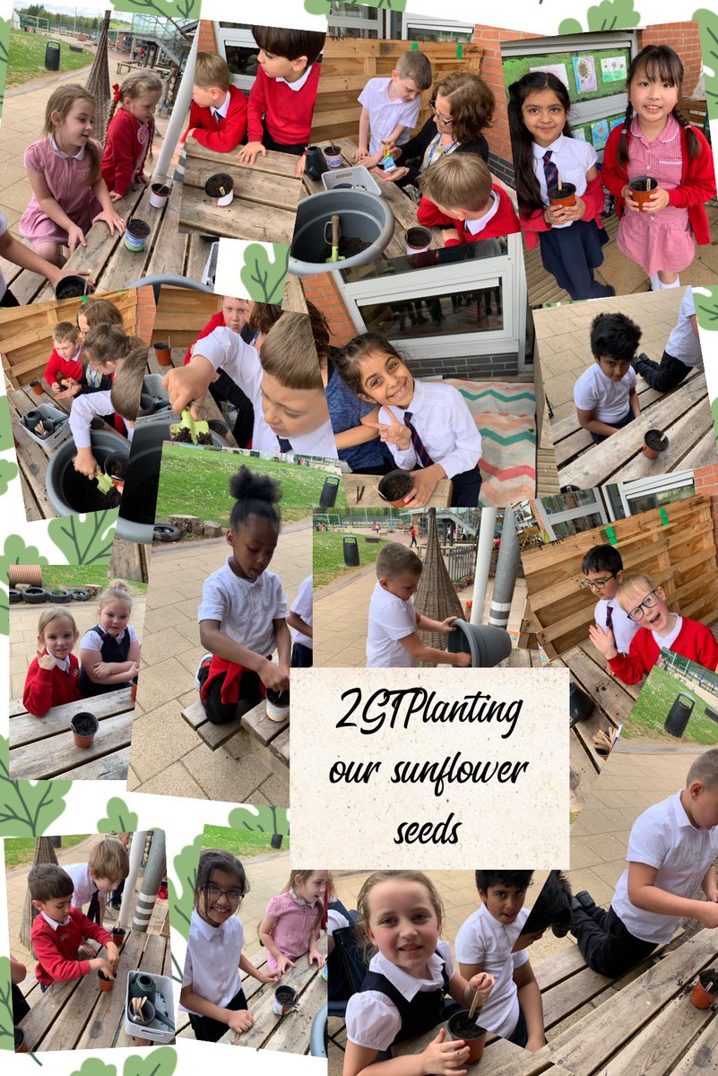 GUPS year 2 tweet media