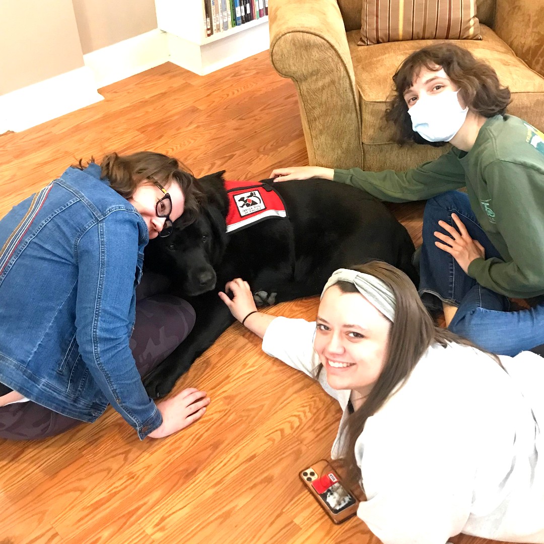 EHCLibraries's tweet image. Oh look! It&apos;s Gus chilling with his friends in the #KellyLibrary! I cannot wait for another Wednesday visit tomorrow (1-2PM), can you?