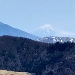 ツイートに含まれる画像