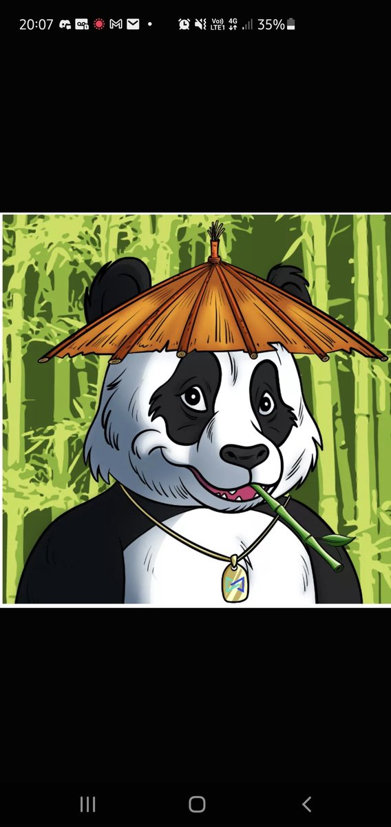 MTV - Prestige Pandas tweet media