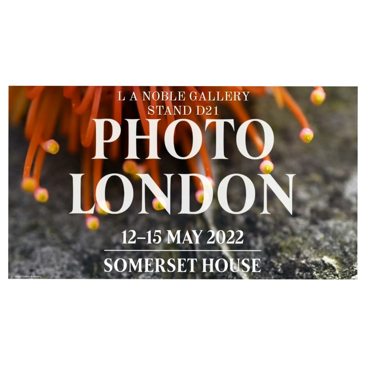 Delighted to announce our participation  <a href="/PhotoLondonFair/">Photo London</a> LANG - Stand D21 
🖼️📷 See a selection here:  photolondon.org/exhibitors/202…
We will be showing <a href="/cwaldiss/">Wendy Aldiss</a> <a href="/blackbirdsfly/">Rhiannon Adam</a> <a href="/RosserChloe/">Chloe Rosser</a> <a href="/roymehta2/">Roy Mehta</a>
Camille Mazier <a href="/mischaphoto/">mischa haller</a>
<a href="/lauraannnoble/">Laura Noble</a> &amp; Chloe Bowman.#photolondon2022 👏