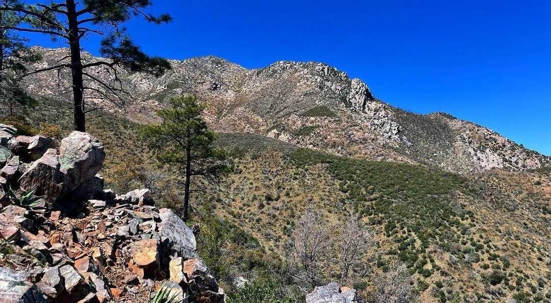 hiiker__'s tweet photo. Reposting @kayla.bold “Difficult roads often lead to beautiful destinations” - Zig Ziglar ✨
#ArizonaTrail #AZT2022 #ArizonaTrail2022
#AZTthruhike #HikeArizona #Arizona #optoutside #hikertrash #keepontrekking #thruhike #hikerlife #backpacking #hikerlife #outdoorlife #hiking https://t.co/OxfCanCT9q