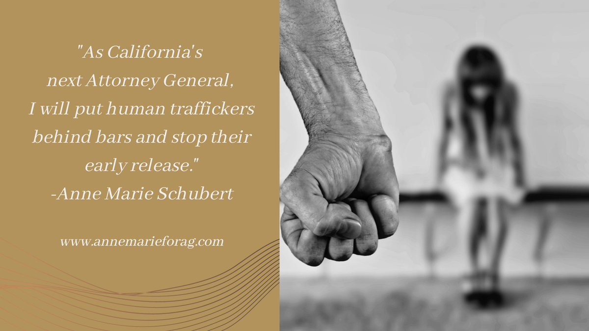 For over 30 years, I have worked to protect women & children from sexual predators, human trafficking and domestic violence…and I am honored to have the support of many crime victims. #NationalVictimsRightsWeek