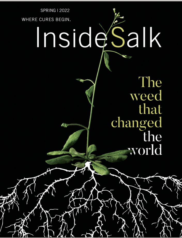 Tatsuya Nobori tweet media