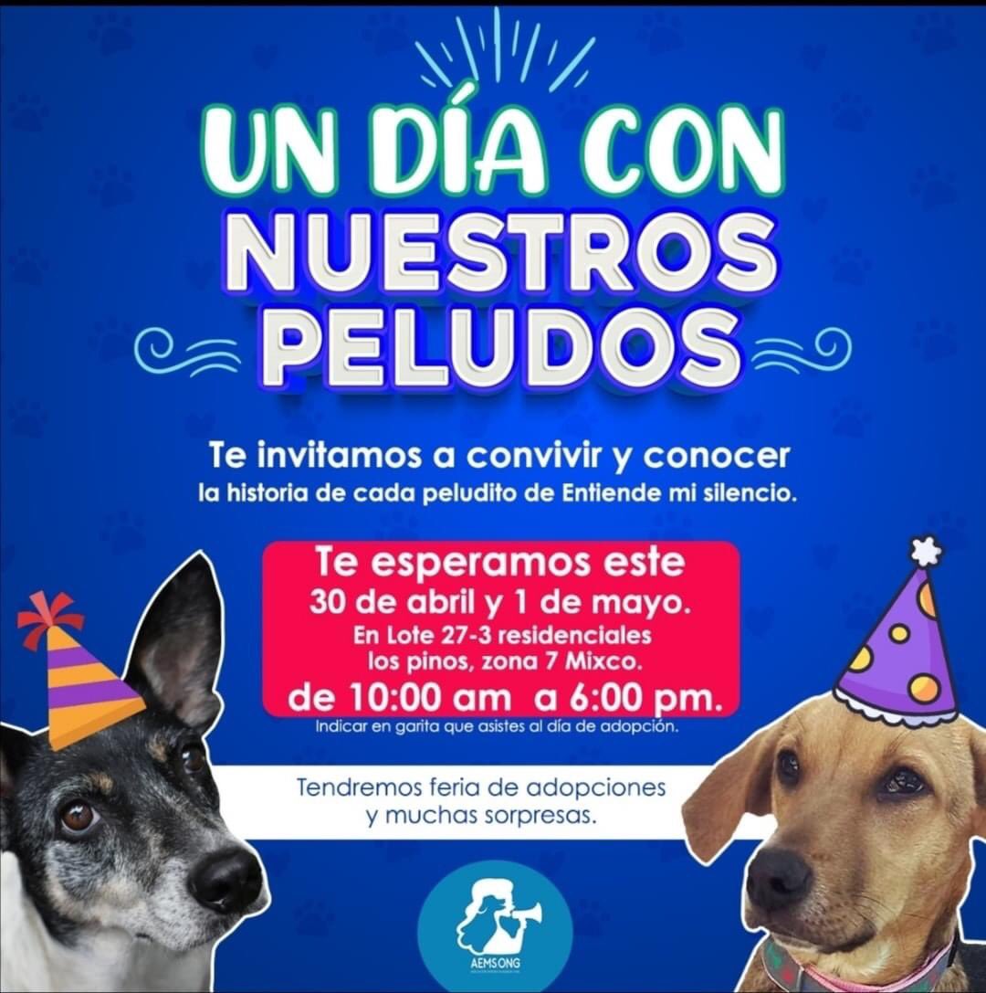 RodzAngel's tweet photo. Si pueden ayudarme con un RT, se los agradeceré mucho.

2 de mis 5 perritos son este refugio y hay muchos más esperando tener un bonito y merecido hogar. Si quieren ponerse en contacto con el refugio “Entiende Mi Silencio”, esta es su cuenta de FB: https://t.co/qDETRBhwQr https://t.co/952Ue9lBQP