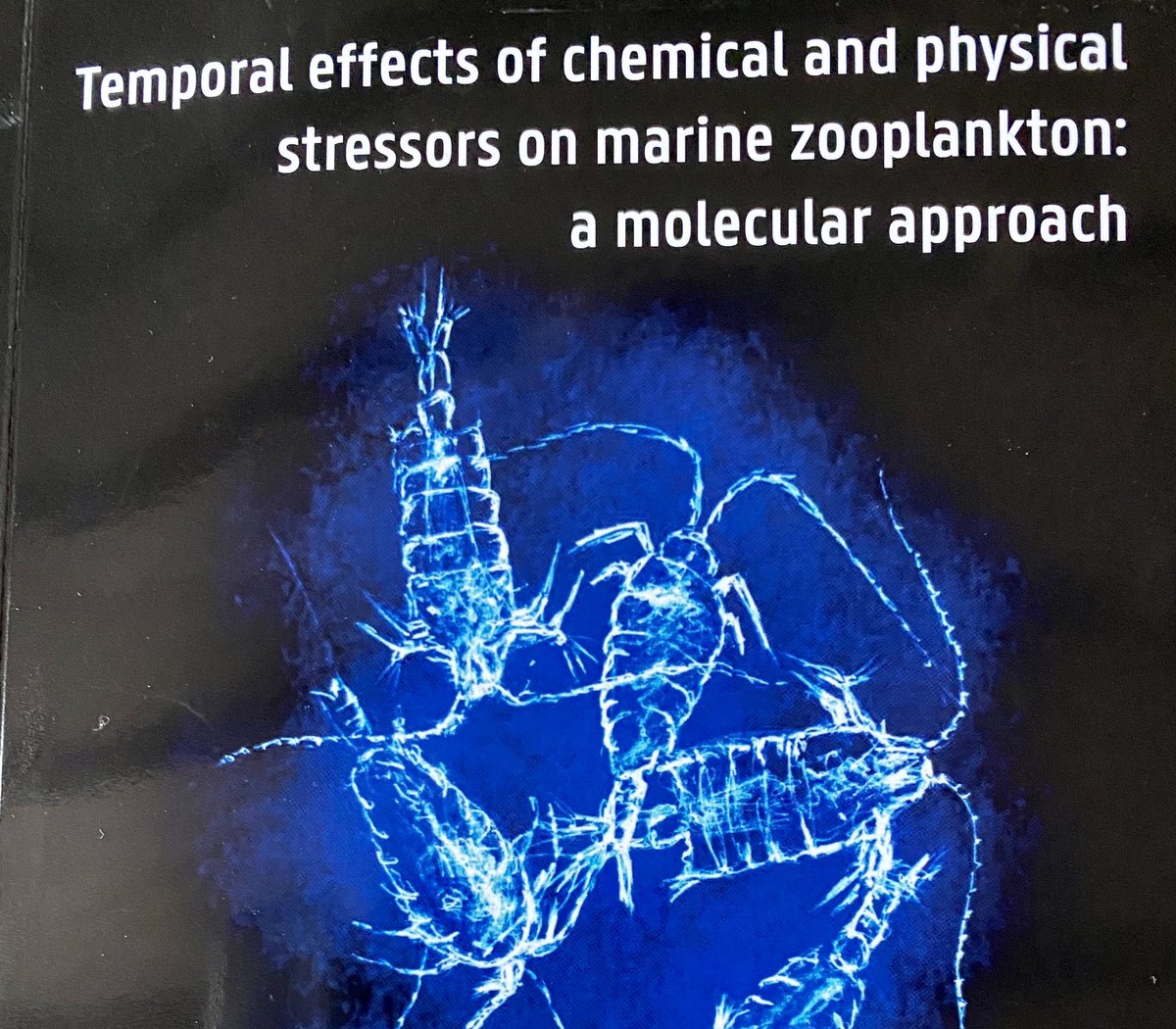 Jan Mees tweet media