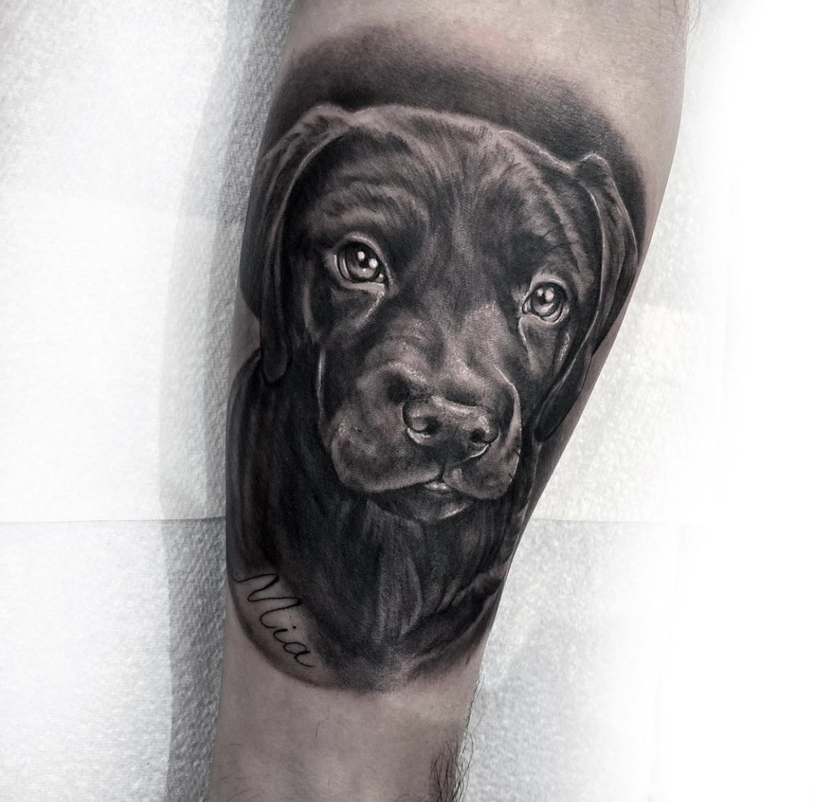 West London Ink tweet media