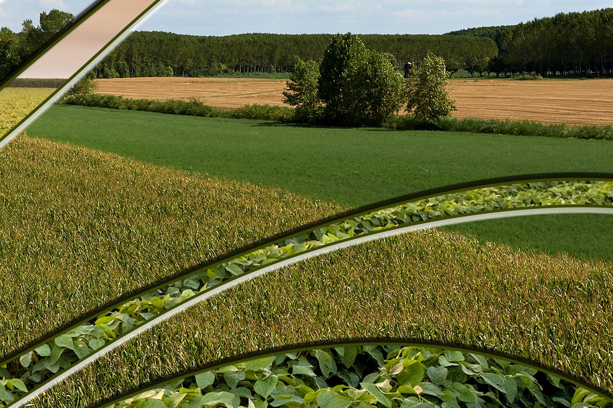 Michigan Farm News: Union Pacific restricts fertilizer shipments, will not accept new orders   ffsc.org/2022/04/michig…