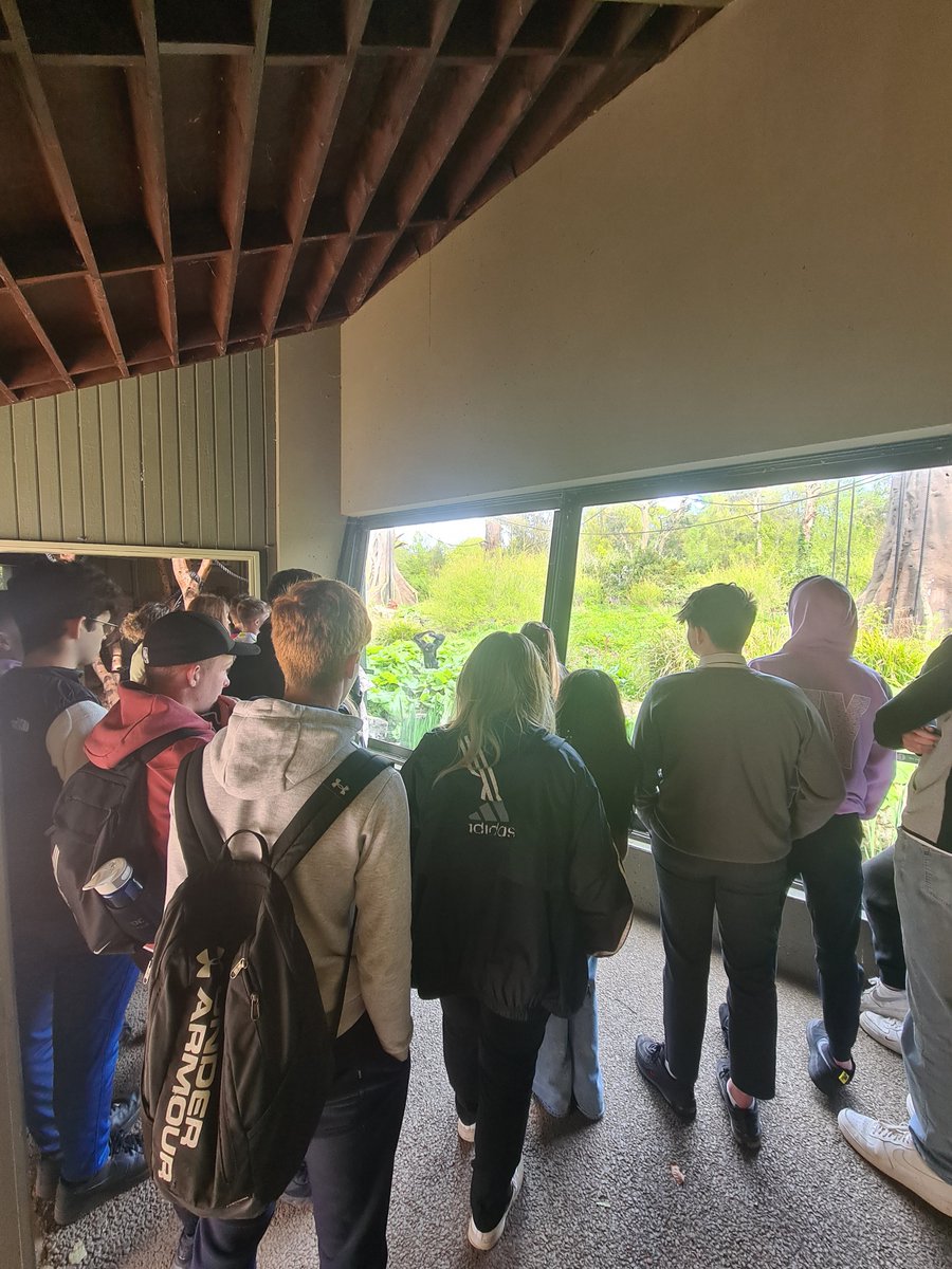 CBCGeog's tweet photo. TYs had a brilliant day learning about #Sustainability at @DublinZoo 🦍🐆🦏 @ClaregalwayColl https://t.co/pcv6nzWU5C