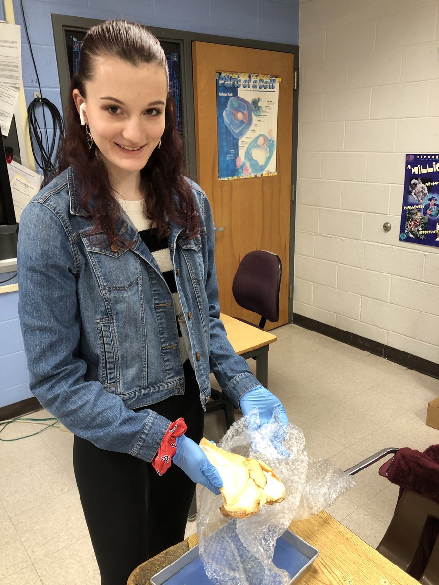 bioshemesh's tweet photo. @PLTWorg Biomed students are learning about bones. We looked at the cross-section of a cow femur and also through a microscope at different kinds of bony tissue  #TrumanScience #BTSDproud #TigerStrong https://t.co/DzDq8nXNmy