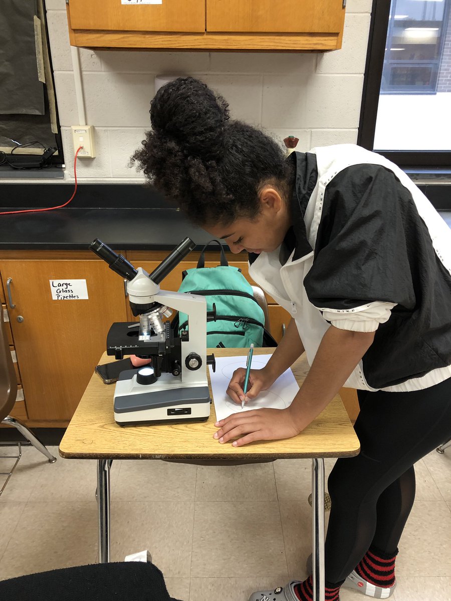 bioshemesh's tweet photo. @PLTWorg Biomed students are learning about bones. We looked at the cross-section of a cow femur and also through a microscope at different kinds of bony tissue  #TrumanScience #BTSDproud #TigerStrong https://t.co/DzDq8nXNmy