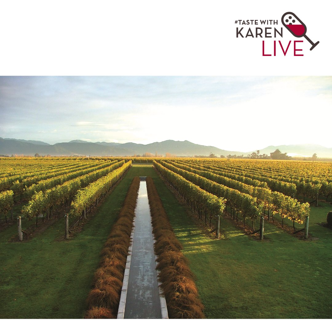 Join me in the lead-up to International Sauvignon Blanc Day when I talk with winemaker Helen Morrison about Villa Maria's Sauvignon Blanc success. Register for the event at: bit.ly/3Lf08XO #tastewithkaren #sauvblancday @villamariawine @winebow @villamariawine