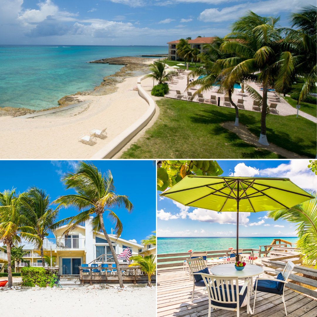 REAL LIFE Caribbean tweet media