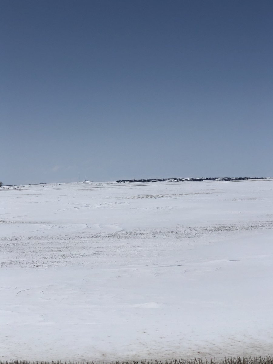 RodinHunter's tweet image. This year Vs last year                                      Don’t think we will be in the fields anytime soon