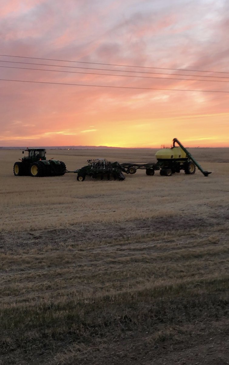 RodinHunter's tweet image. This year Vs last year                                      Don’t think we will be in the fields anytime soon