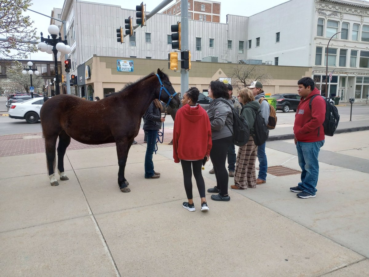 Students at the Sioux City Career Academy had the opportunity to learn more about horses as part of the agriculture pathway. Students were able to pet the horse, and even feed him a couple treats. A huge thanks to EHS junior Kalaya and her family for bringing him down! #SCCSD