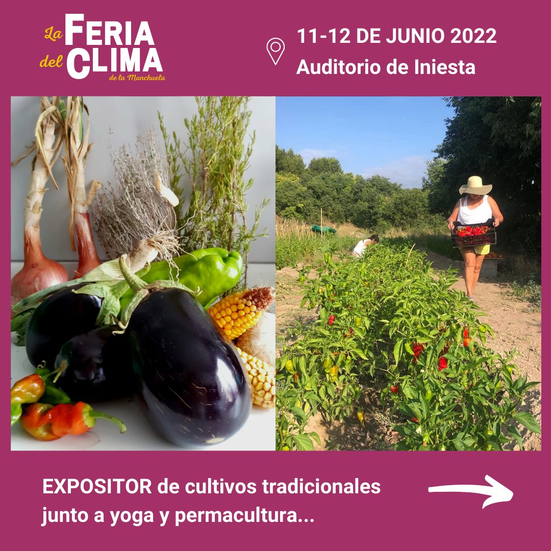 LMxClima's tweet photo. 👉🏽Expositor de @redtomatospain junto a @lalibelulayogaypermacultura - Comida de agricultura que enriquece el medioambiente y salud, ¿qué se puede pedir más? 🍅

➡️ No te lo pierdas y asegúrate ahora tu entrada gratuita para La Feria del Clima de la Manchuela (link en nuestra bio) https://t.co/29Pph1zuug